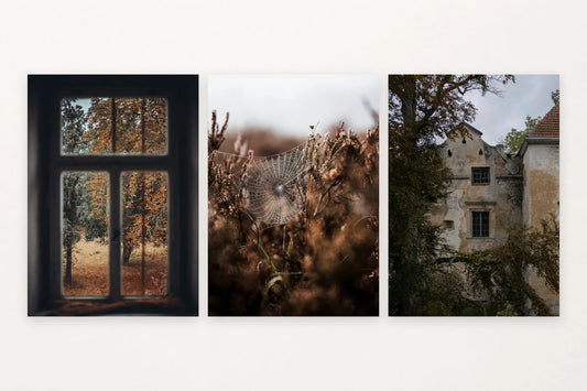 Autumn prints with an old window, a spider web, and a weathered facade.