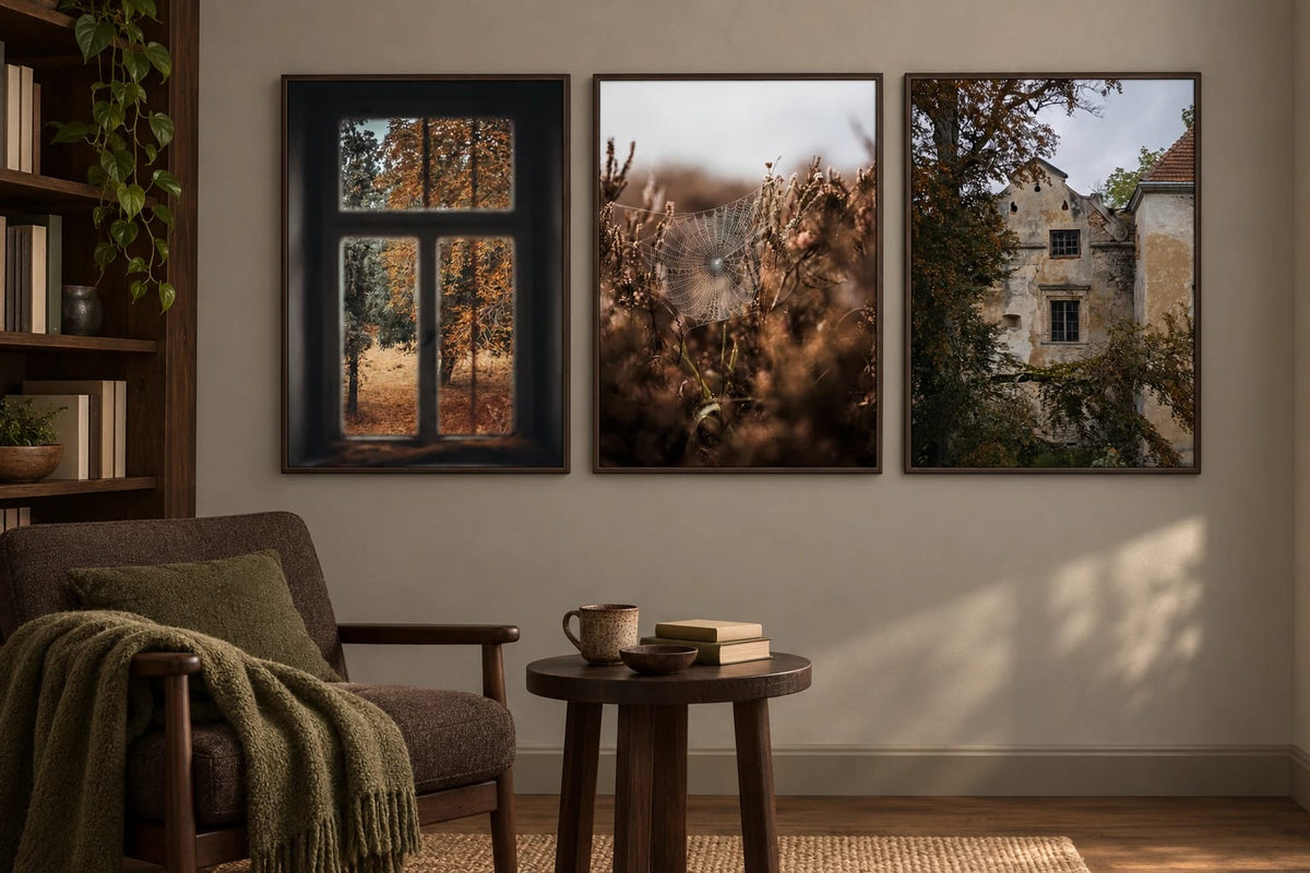 Autumn prints with window and web in a reading nook.