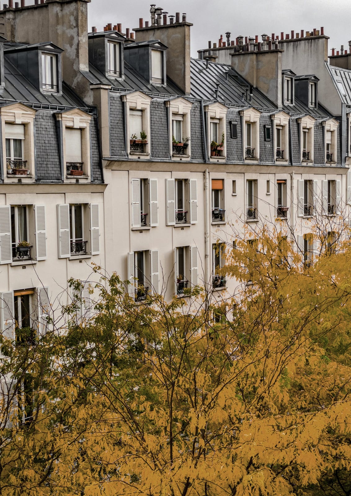 city facades with slate roofs and autumn trees.
