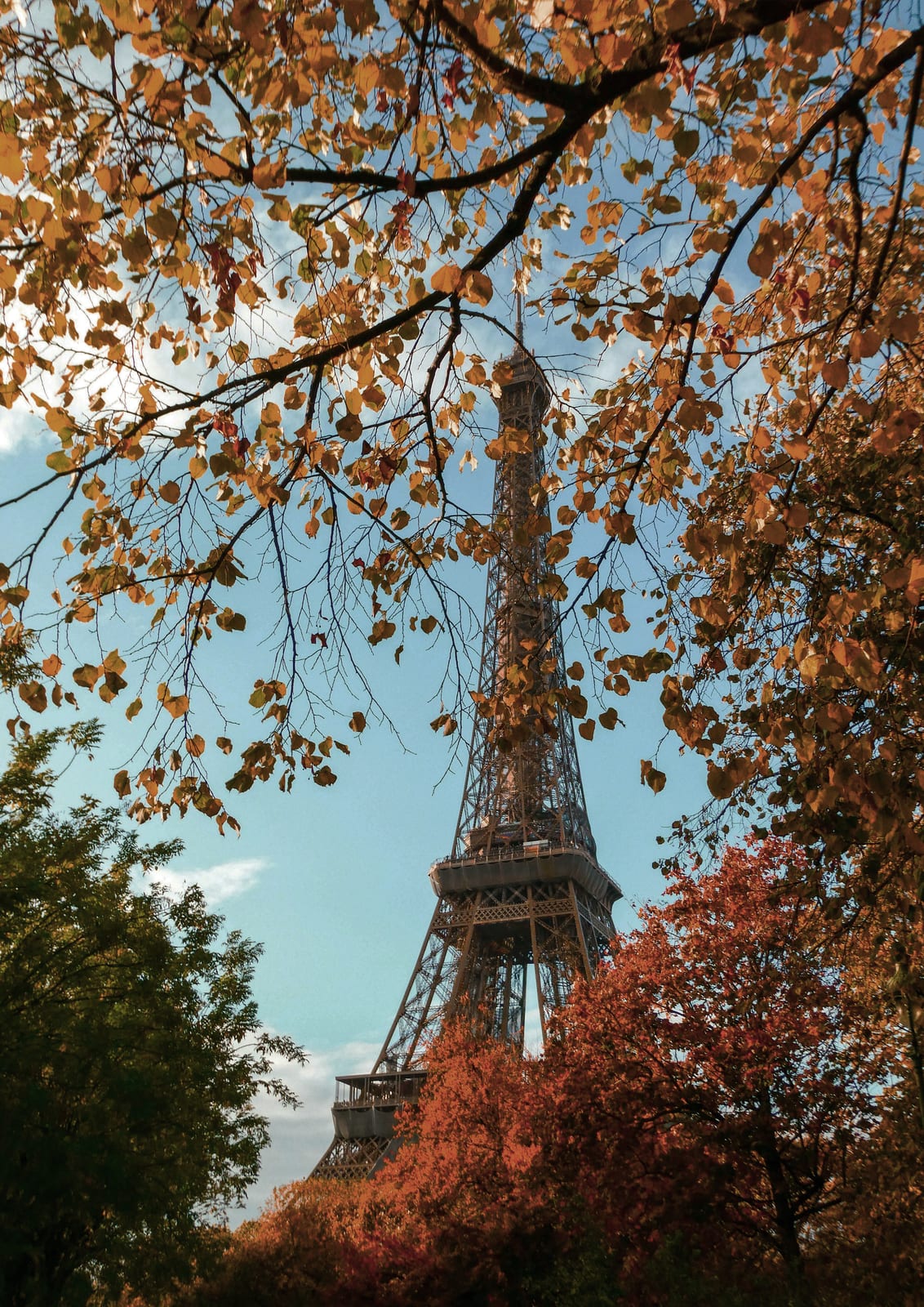 metal tower framed by fall branches.