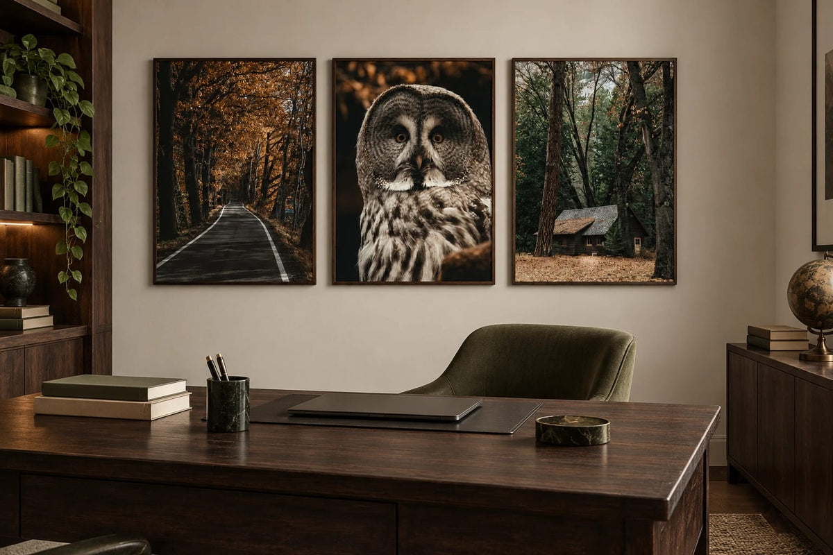 Forest prints displayed in a dark office.
