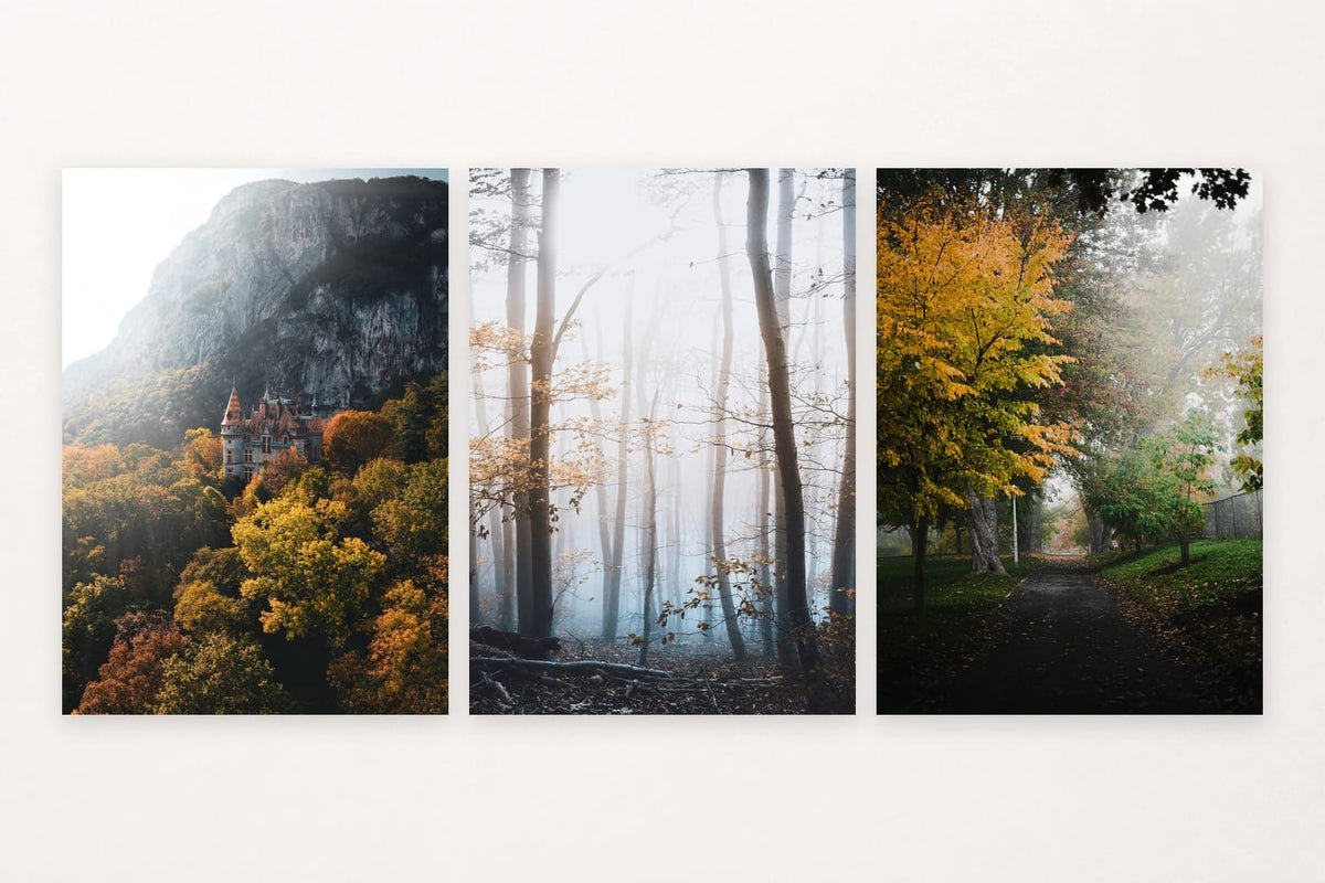 Three forest scenes with a rocky castle, mist, and a tree-lined road.
