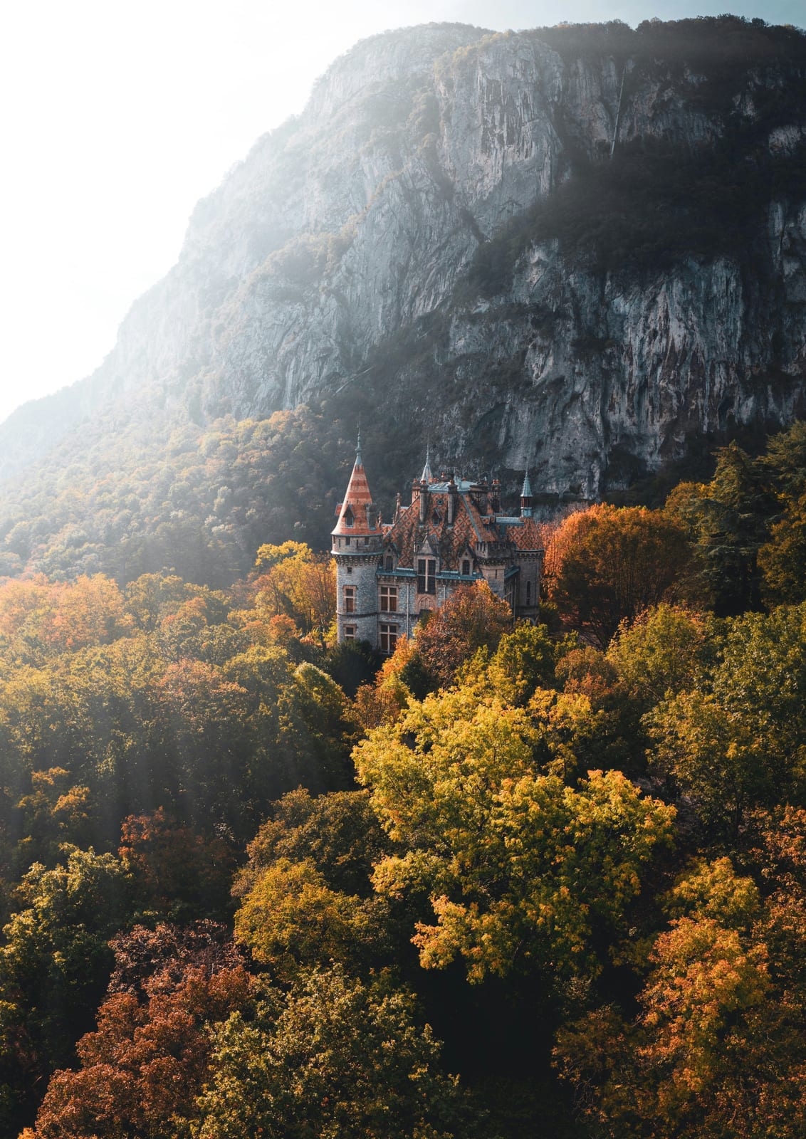 castle on a wooded rocky slope.