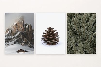 A snowy hillside and cabin give way to two close views of winter greenery.