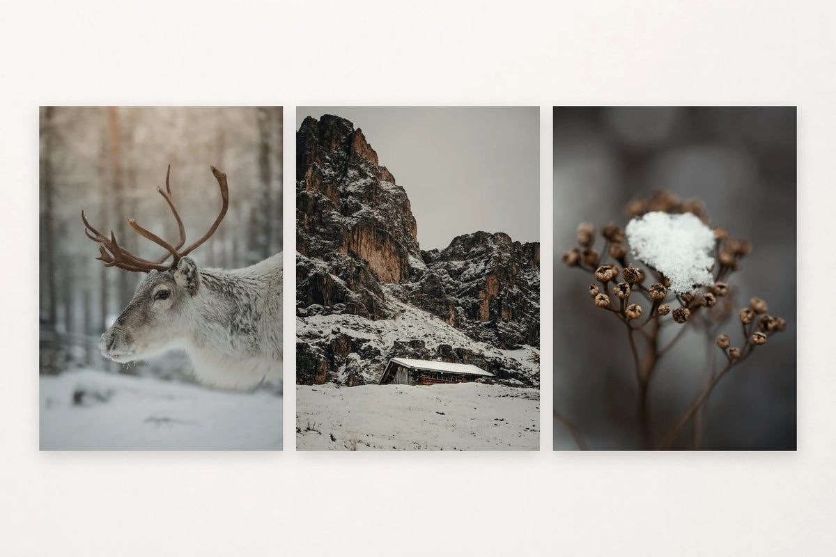 A deer profile leads to a snowy cabin and a frost-covered plant detail.