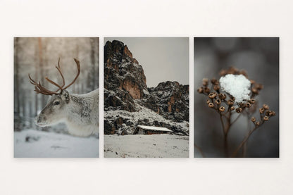 A deer profile leads to a snowy cabin and a frost-covered plant detail.