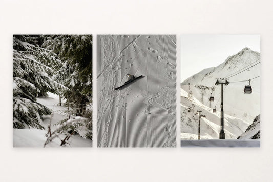 Snow-covered branches, skis, and a cable car capture a mountain outing.
