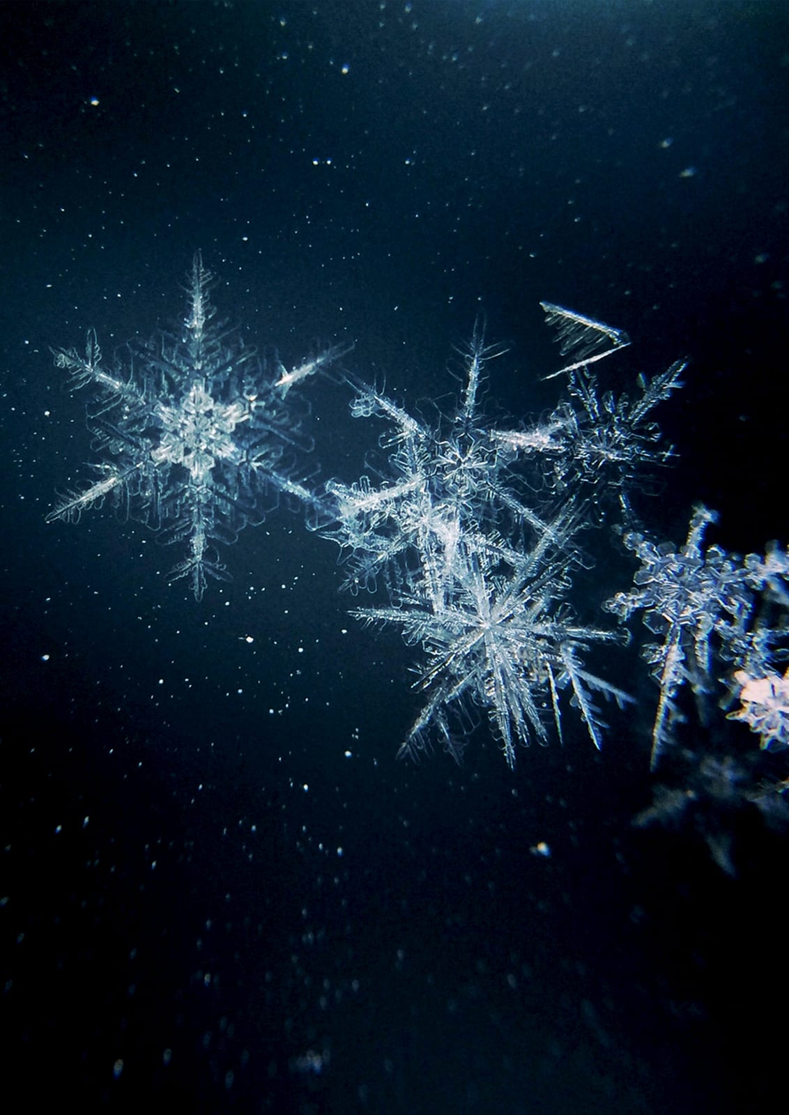 A close-up snowflake appears on a dark blue ground.
