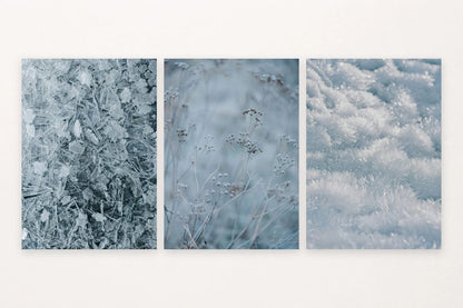 Frost details shift from dense crystals to delicate stems and close snow texture.
