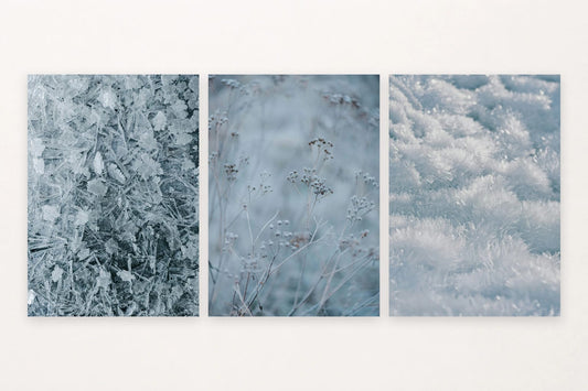 Frost details shift from dense crystals to delicate stems and close snow texture.