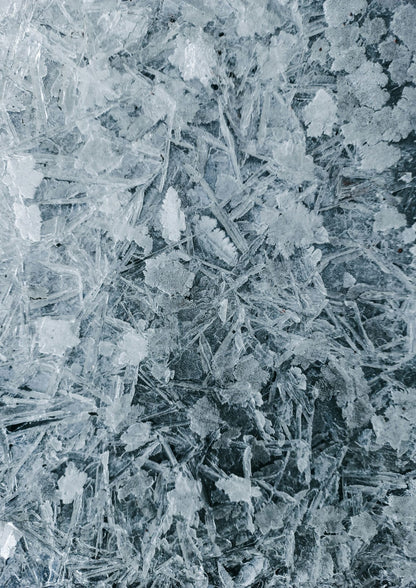 Pale frost crystals fill the first image.