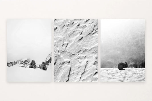 A quiet valley leads to traces in the snow and a hare in the woods.