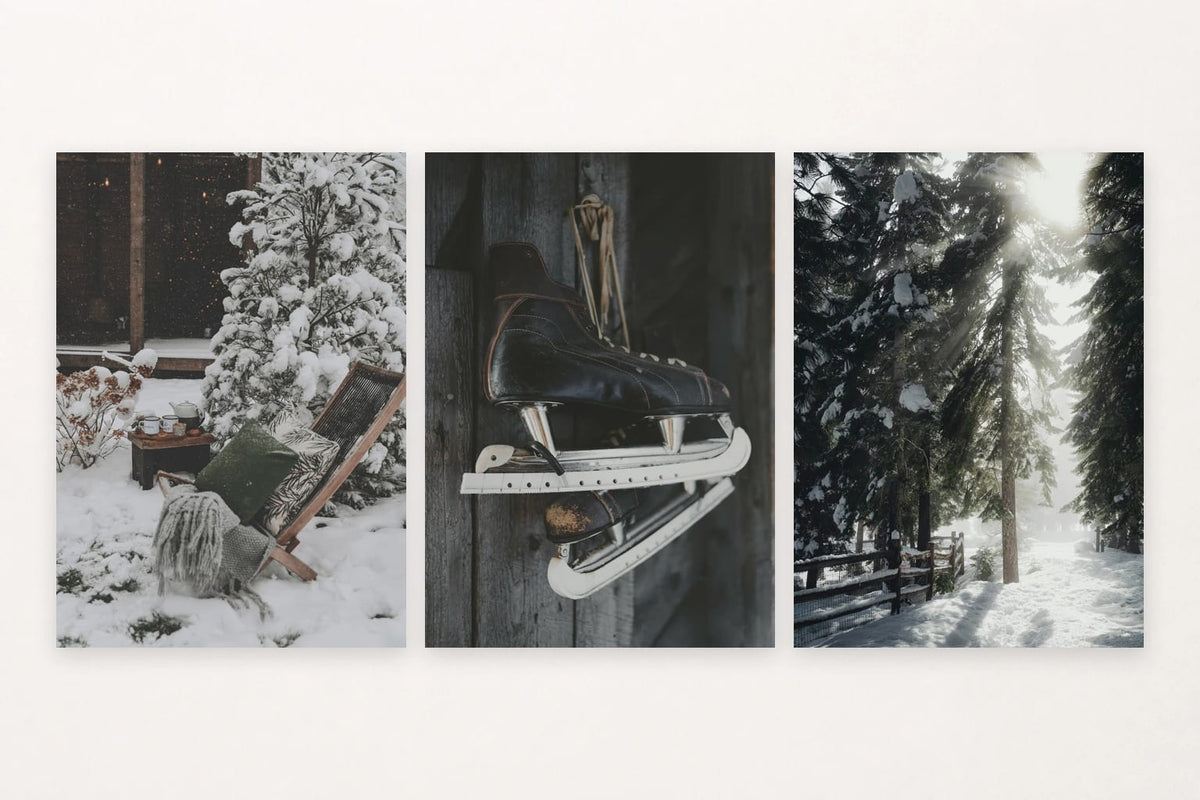 A snow-dusted chair, dark skates, and sun through pines capture winter at rest and play.