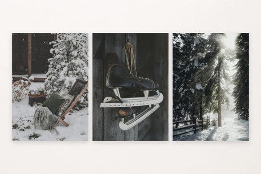 A snow-dusted chair, dark skates, and sun through pines capture winter at rest and play.