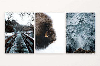 A bridge, shaggy horned animal, and icy cliff span forest, wildlife, and rock.
