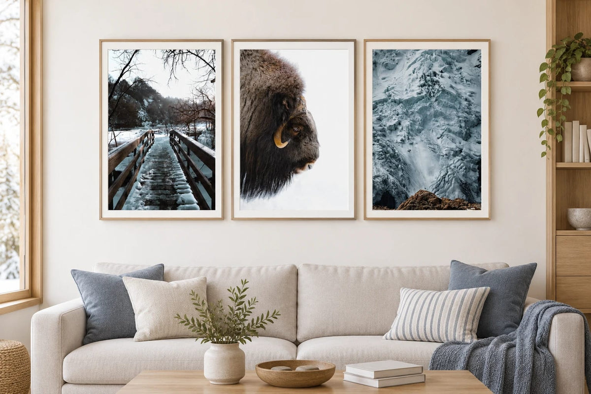 Three winter prints hang above a light sofa.