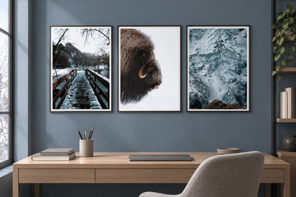 Three winter prints hang in an office with a blue-gray wall.