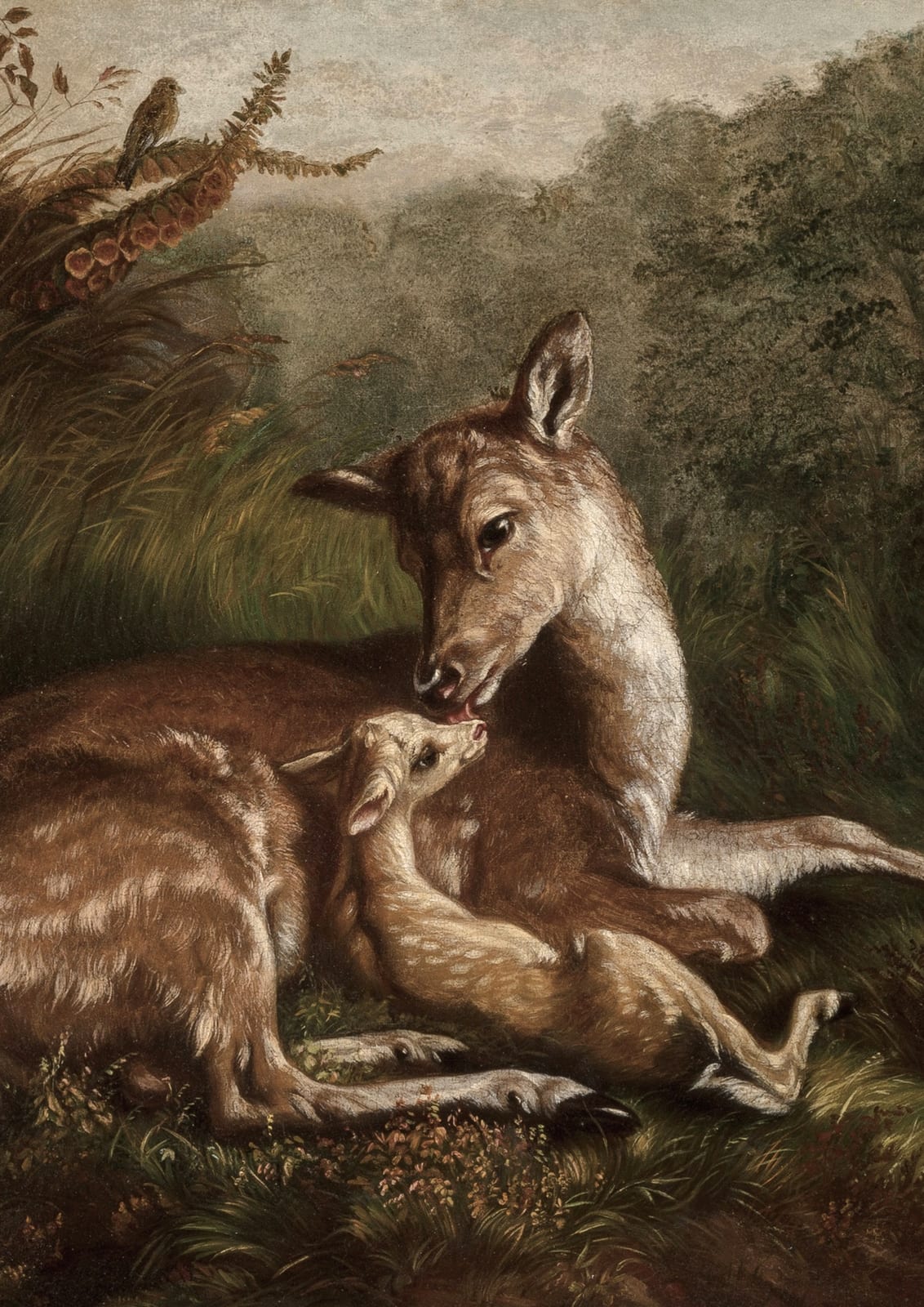 doe with a fawn.