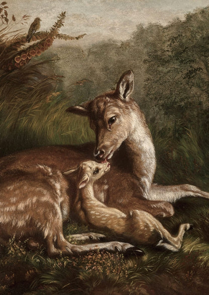 doe with a fawn.