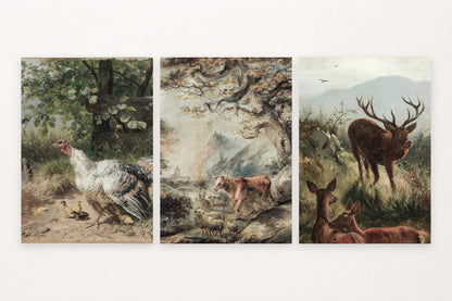 Three animal prints: a turkey with chicks, a cow and sheep, and a stag with two resting deer.