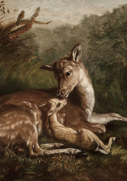 A doe touches noses with her fawn.