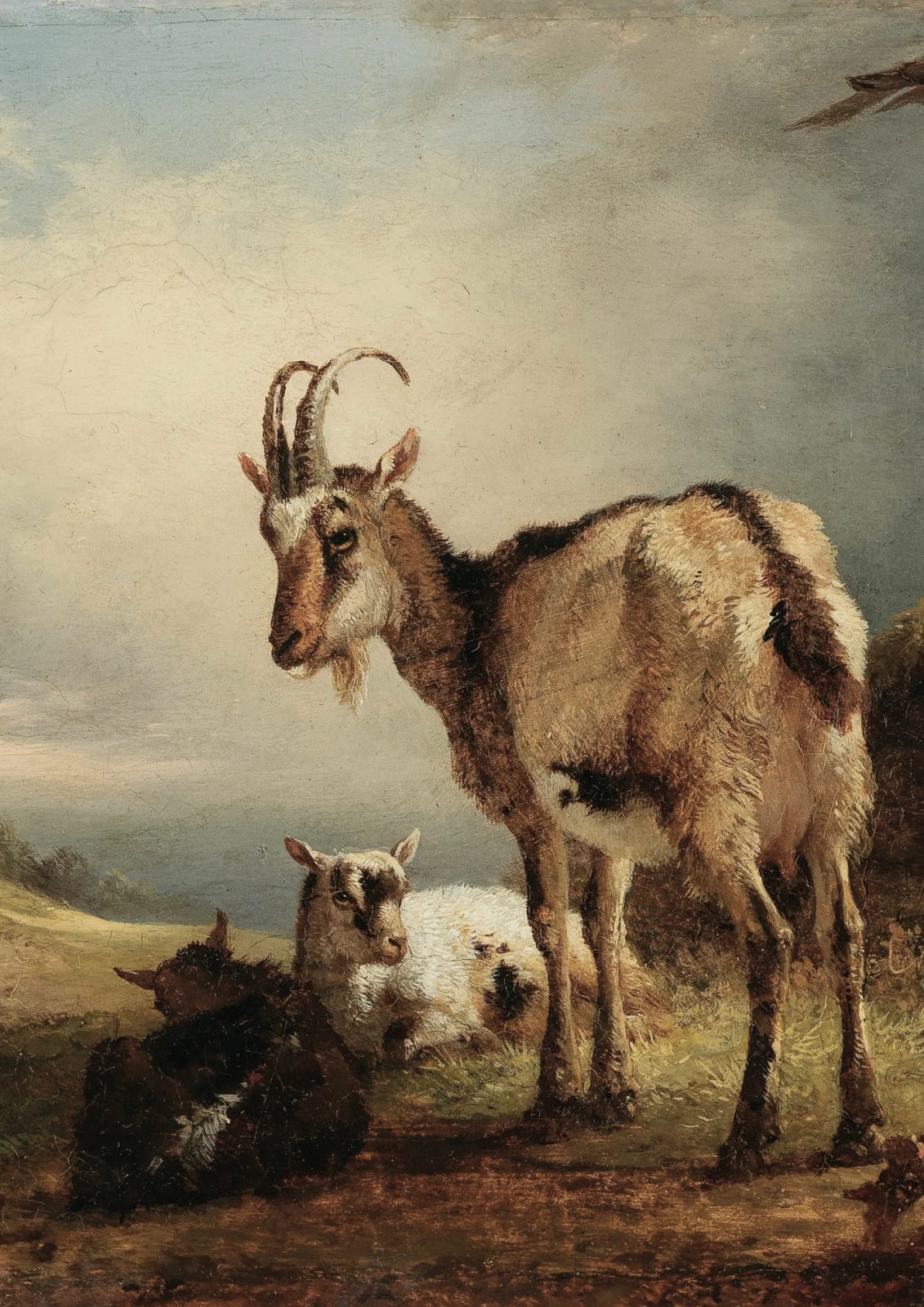 A goat stands beside her kids in a meadow.