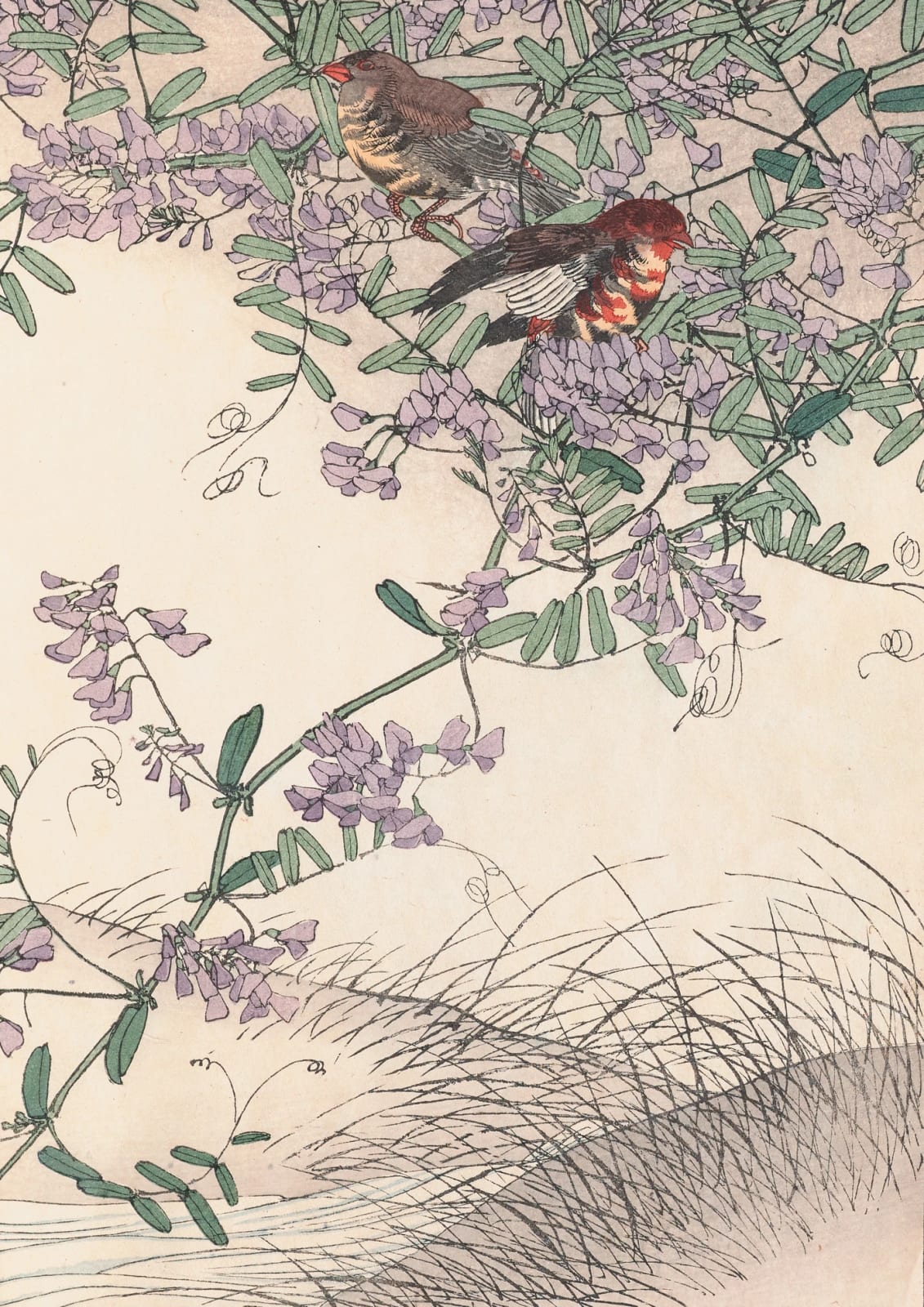 Birds perch among flowering branches; small lilac blossoms and green leaves repeat across the set.