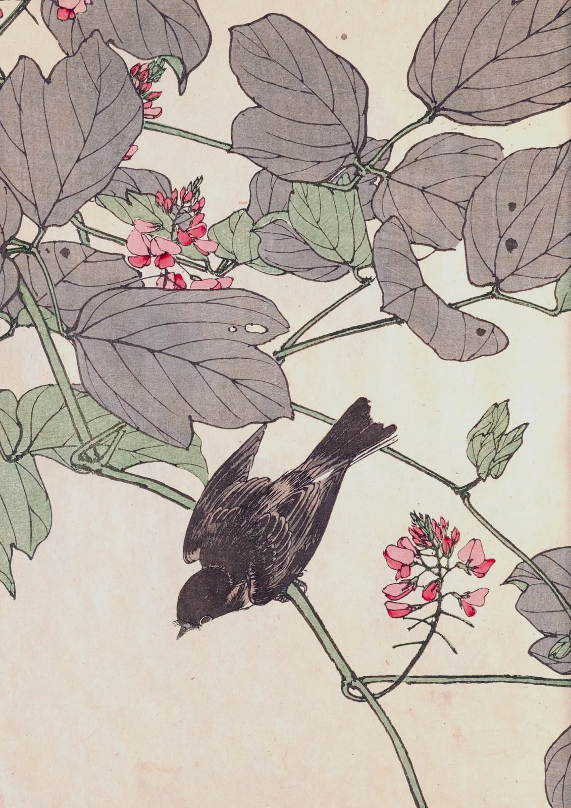 A dark bird moves through a branch covered in pink blossoms; green, rose, and lilac details repeat.