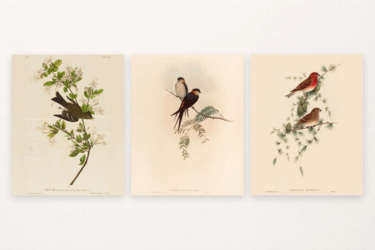 Dark bird among flowers, two swallows, and red and brown birds in evergreens.