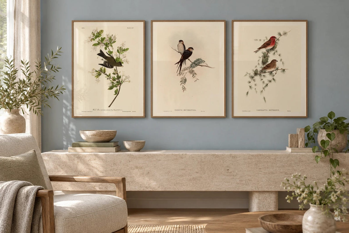 A bird print trio arranged in a softly colored bedroom.