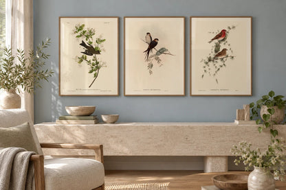 A bird print trio arranged in a softly colored bedroom.