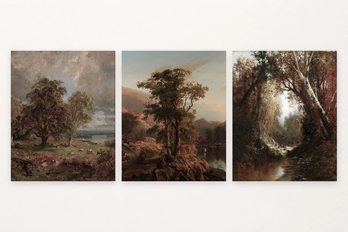 Trees at a shore, a lone tree among rocks, and a wooded stream.