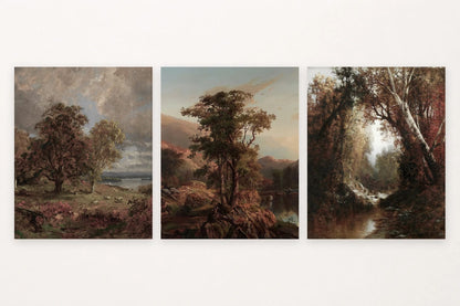 Trees at a shore, a lone tree among rocks, and a wooded stream.