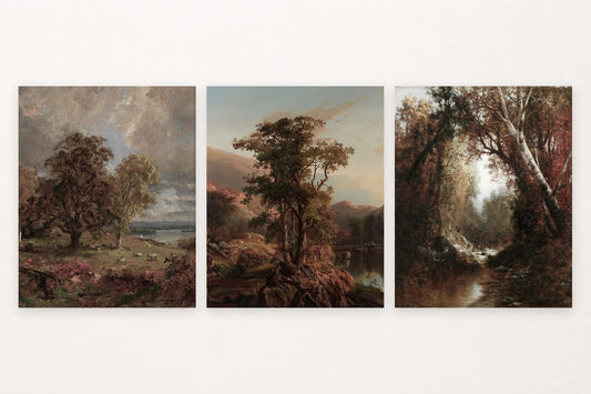 Trees at a shore, a lone tree among rocks, and a wooded stream.