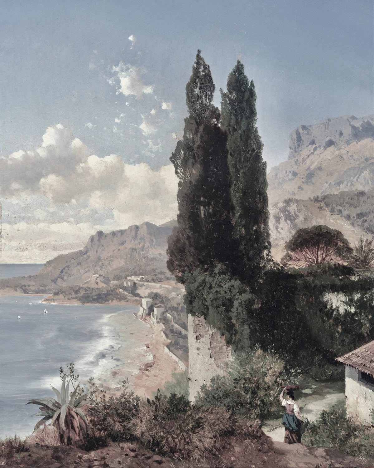 A cypress above a sloping seacoast.