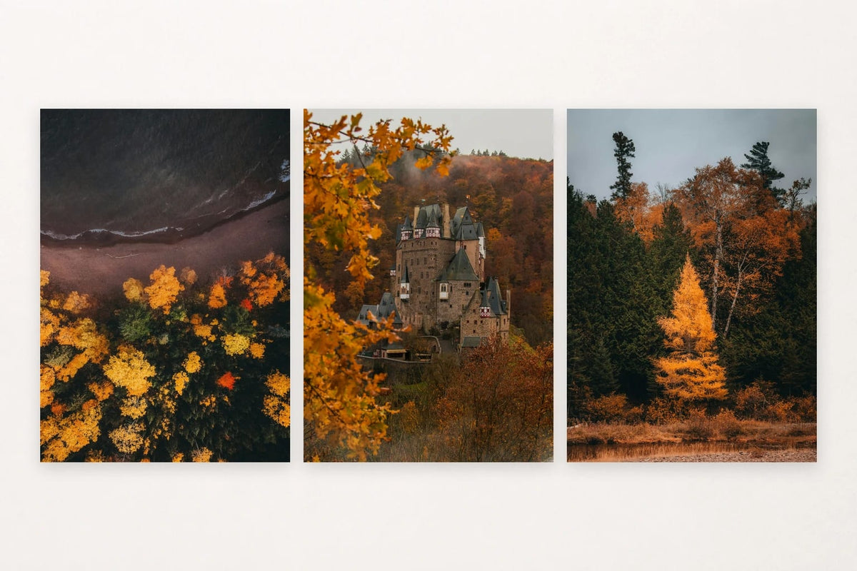 Autumn shoreline, castle among fall trees, and a golden tree in a dark forest.