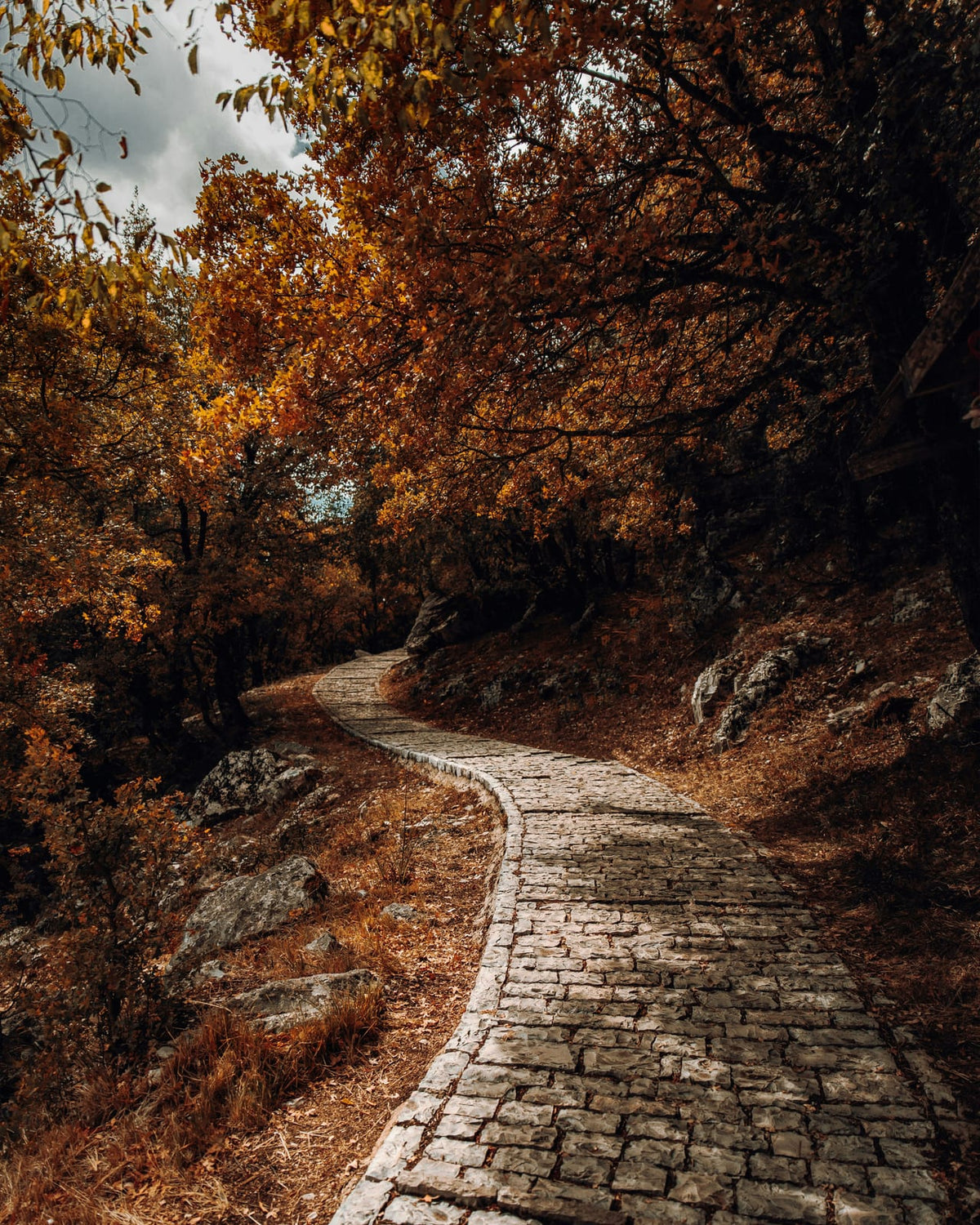 A winding stone path through a forest.