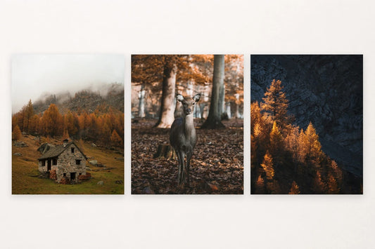 Misty cabin, deer among autumn leaves, and golden larches.
