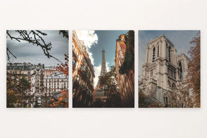 Autumn rooftops, Eiffel Tower between facades, and stone cathedral.