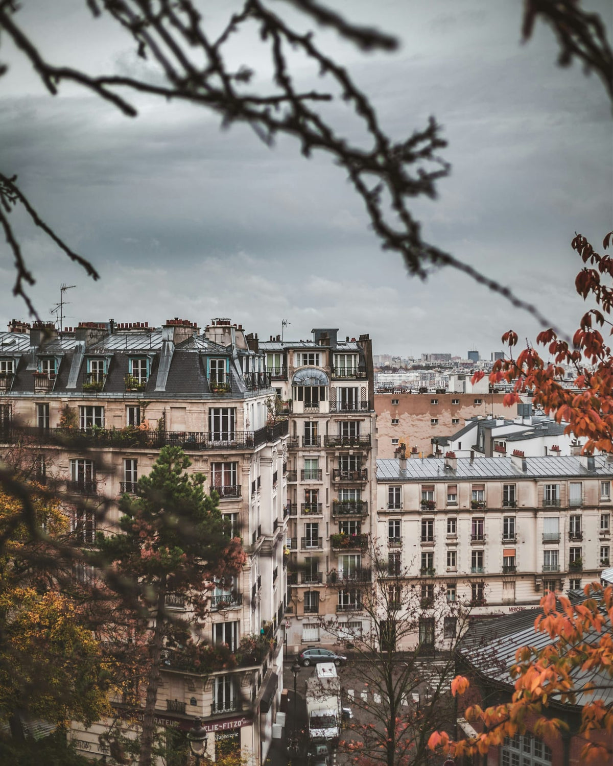 City rooftops under overhanging autumn branches.