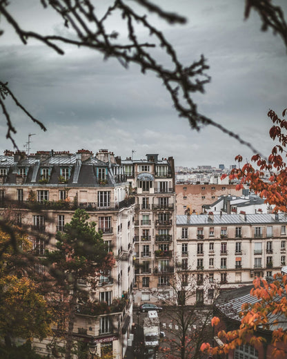 City rooftops under overhanging autumn branches.