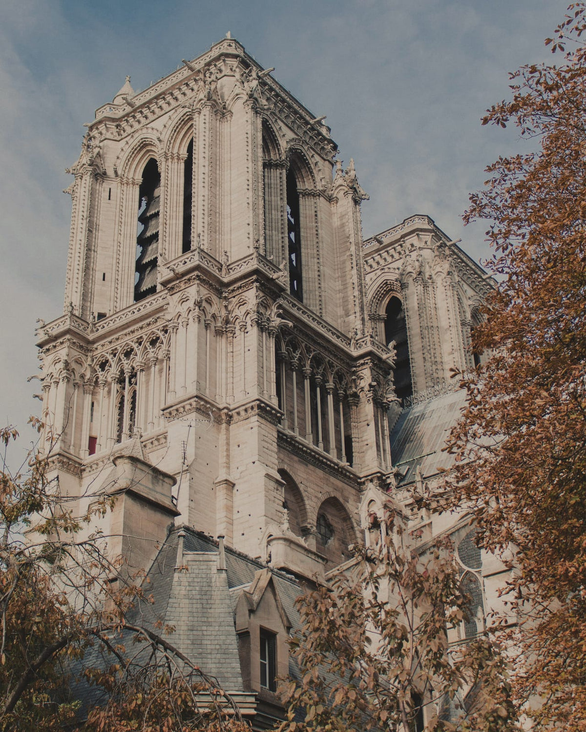 A stone cathedral framed by autumn leaves.