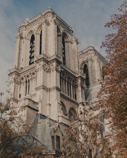 A stone cathedral framed by autumn leaves.