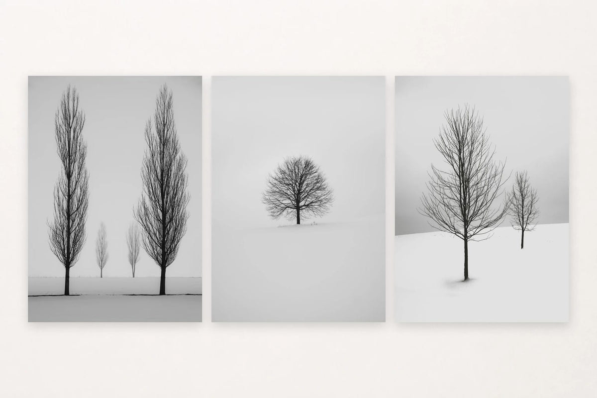 Three snowy landscapes show four trees in a field, one tree alone, and two trees on a slope.