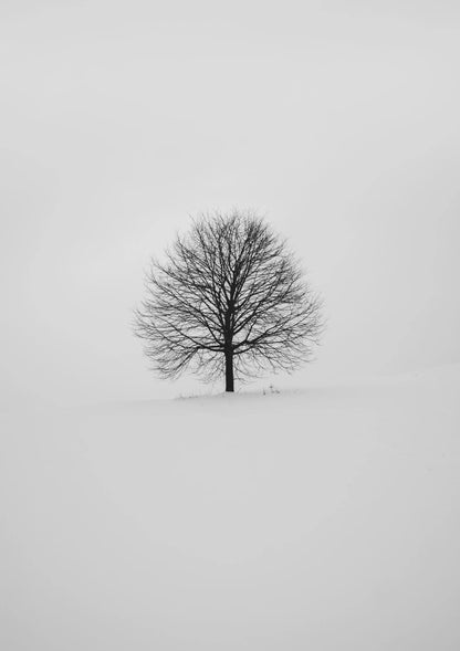 One tree rises alone against the snow.
