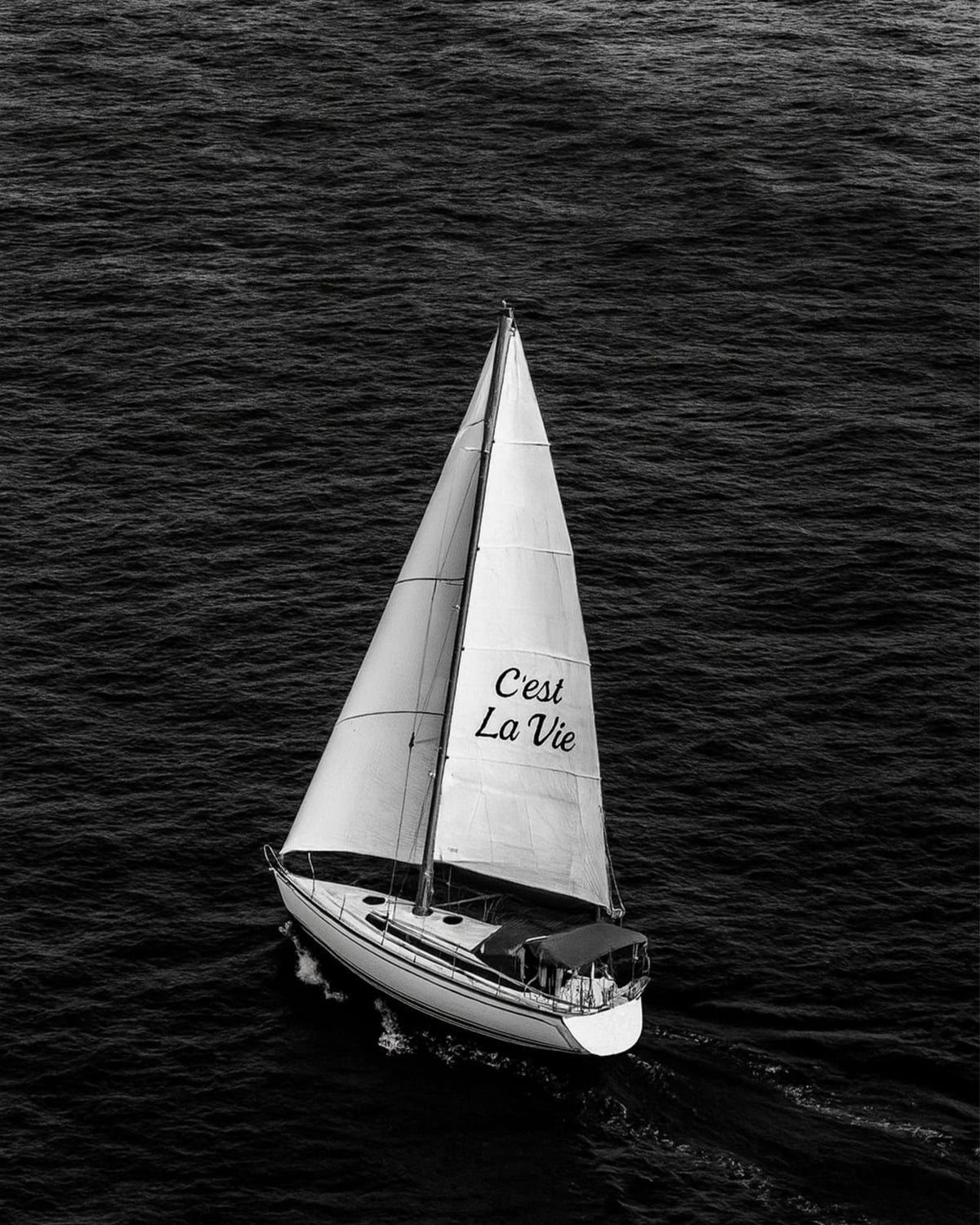 A sailboat on dark water with C'est La Vie on its sail.