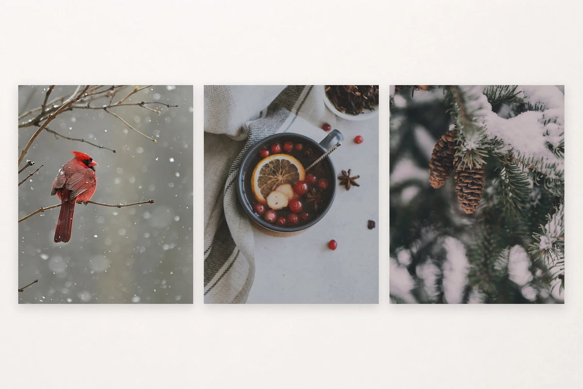 Red bird on snow, citrus still life, and pinecones among evergreens.