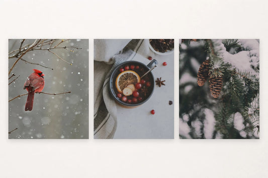 Red bird on snow, citrus still life, and pinecones among evergreens.
