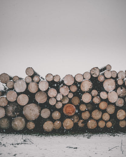 A stacked woodpile beneath a layer of snow.
