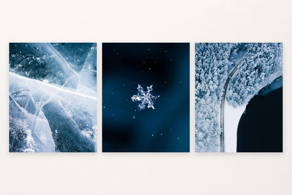 Translucent ice, white snowflake, and snowy forest road.